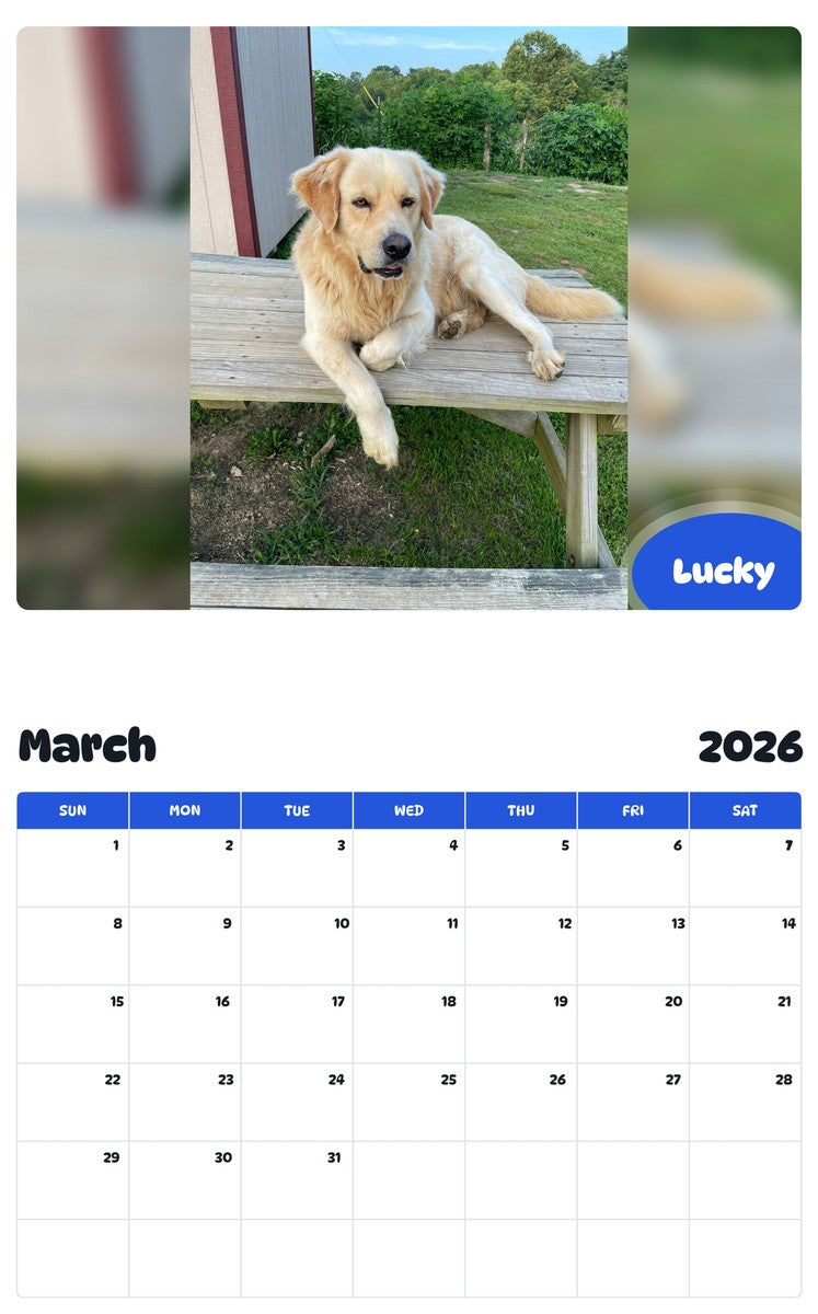 November 2025 - October 2026 Lucky - Pawidols Pet Calendar