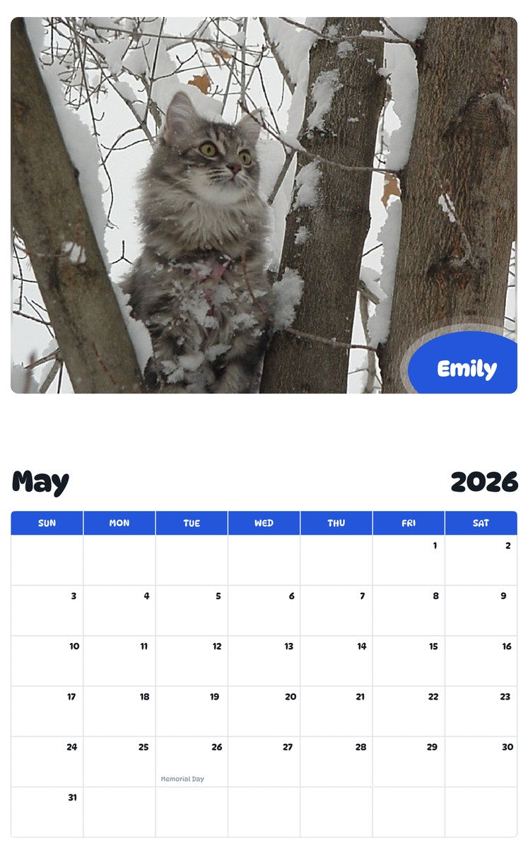 2026 - 2027 Emily - Pawidols Pet Calendar