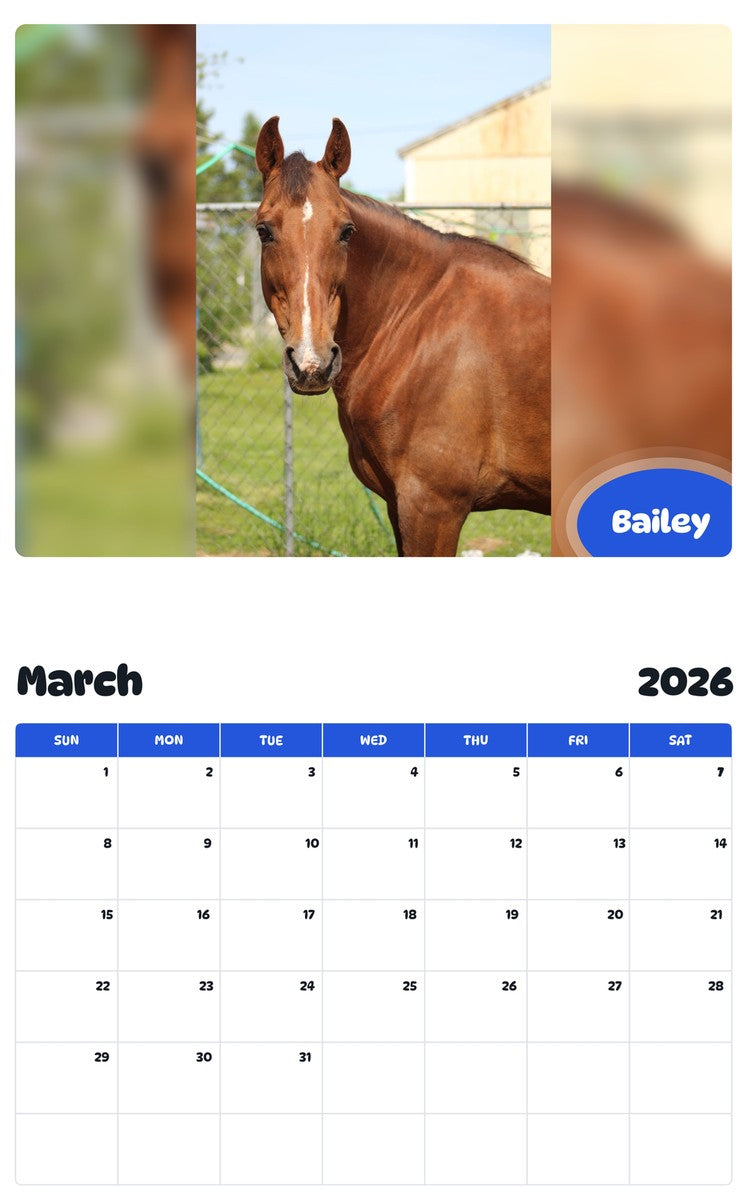 November 2025 - October 2026 Bailey - Pawidols Pet Calendar