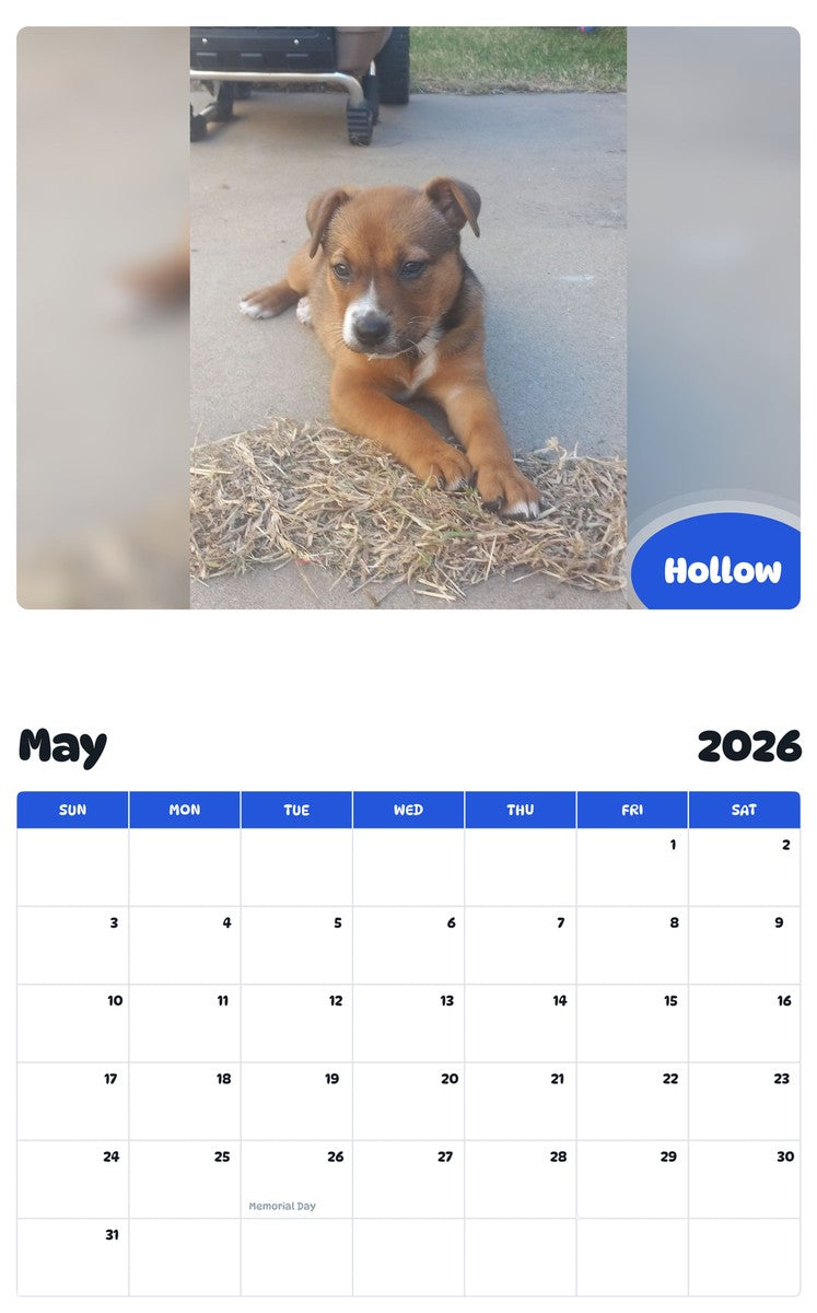 2026 - 2027 Hollow - Pawidols Pet Calendar