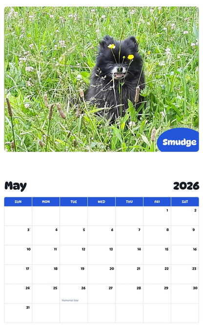 2026 - 2027 Smudge - Pawidols Pet Calendar