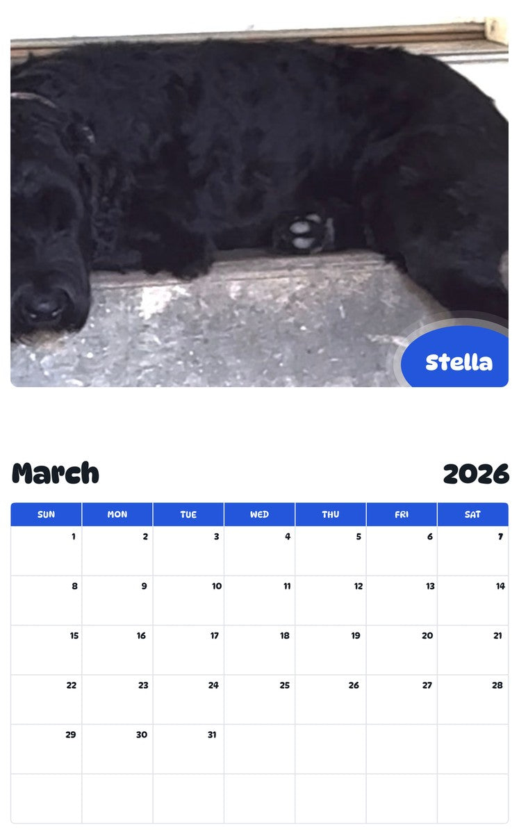 November 2025 - October 2026 Stella - Pawidols Pet Calendar