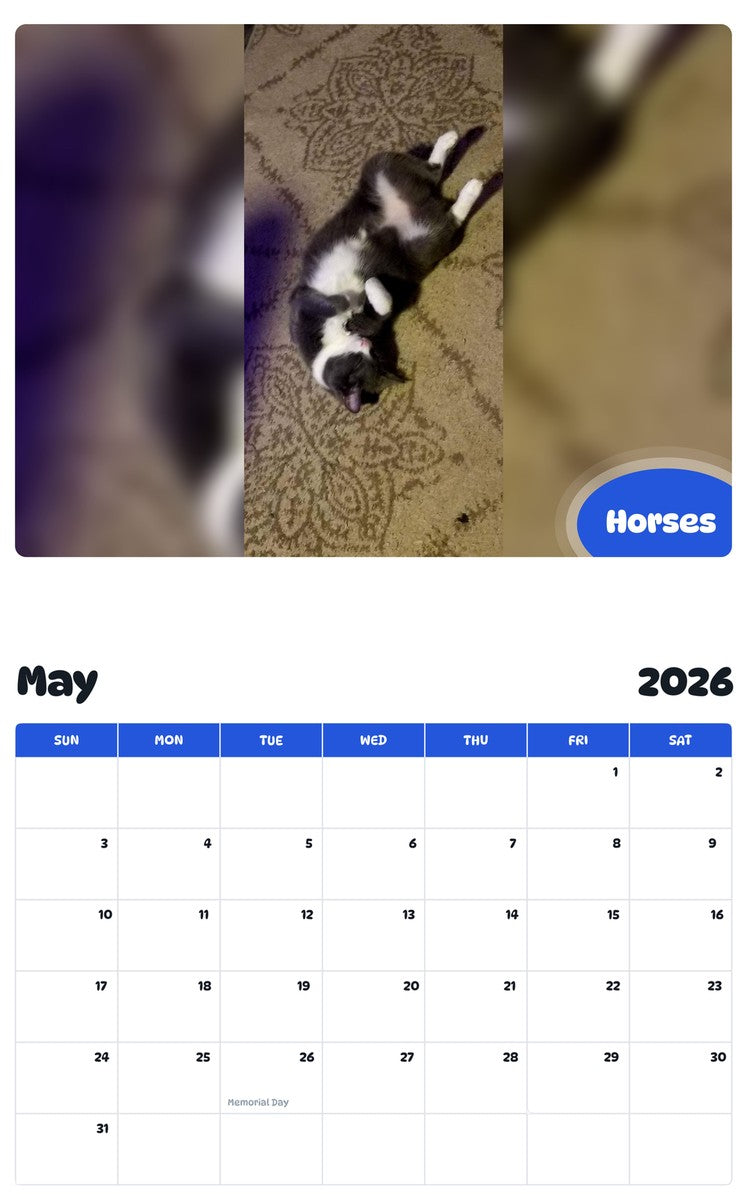 2026 - 2027 Horses - Pawidols Pet Calendar