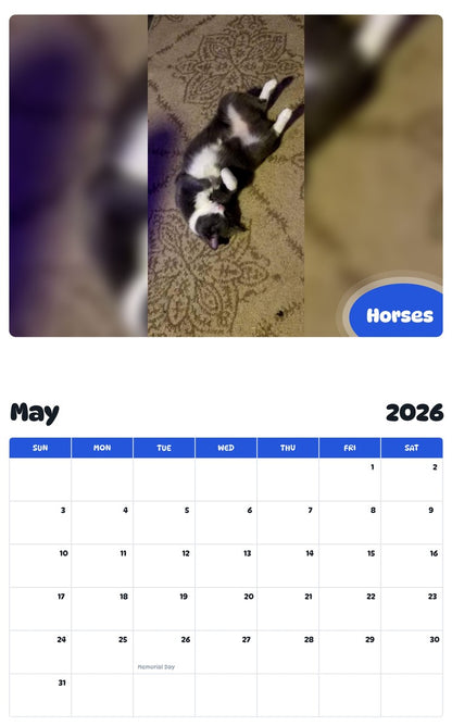 2026 - 2027 Horses - Pawidols Pet Calendar