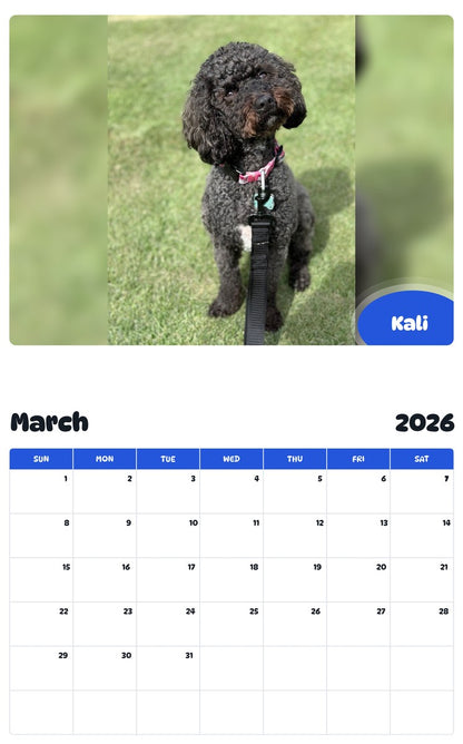 November 2025 - October 2026 Kali - Pawidols Pet Calendar