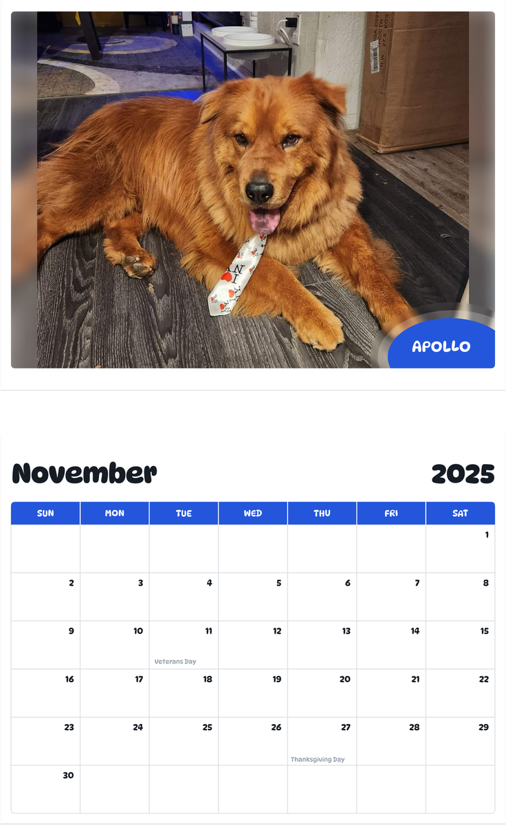 July 2025 - June 2026 Apollo - Pawidols Pet Calendar