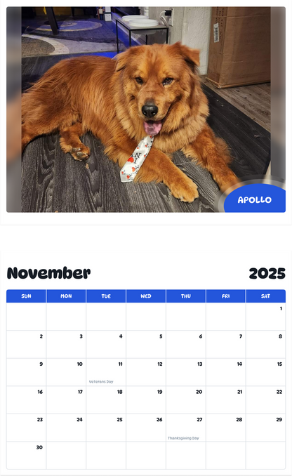 July 2025 - June 2026 Apollo - Pawidols Pet Calendar
