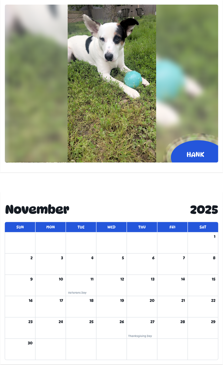 July 2025 - June 2026 Hank - Pawidols Pet Calendar