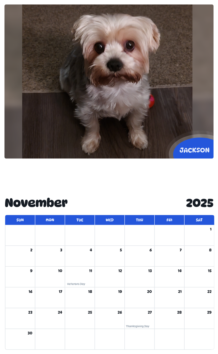 July 2025 - June 2026 Jackson - Pawidols Pet Calendar