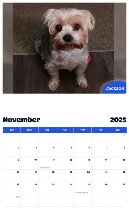 July 2025 - June 2026 Jackson - Pawidols Pet Calendar