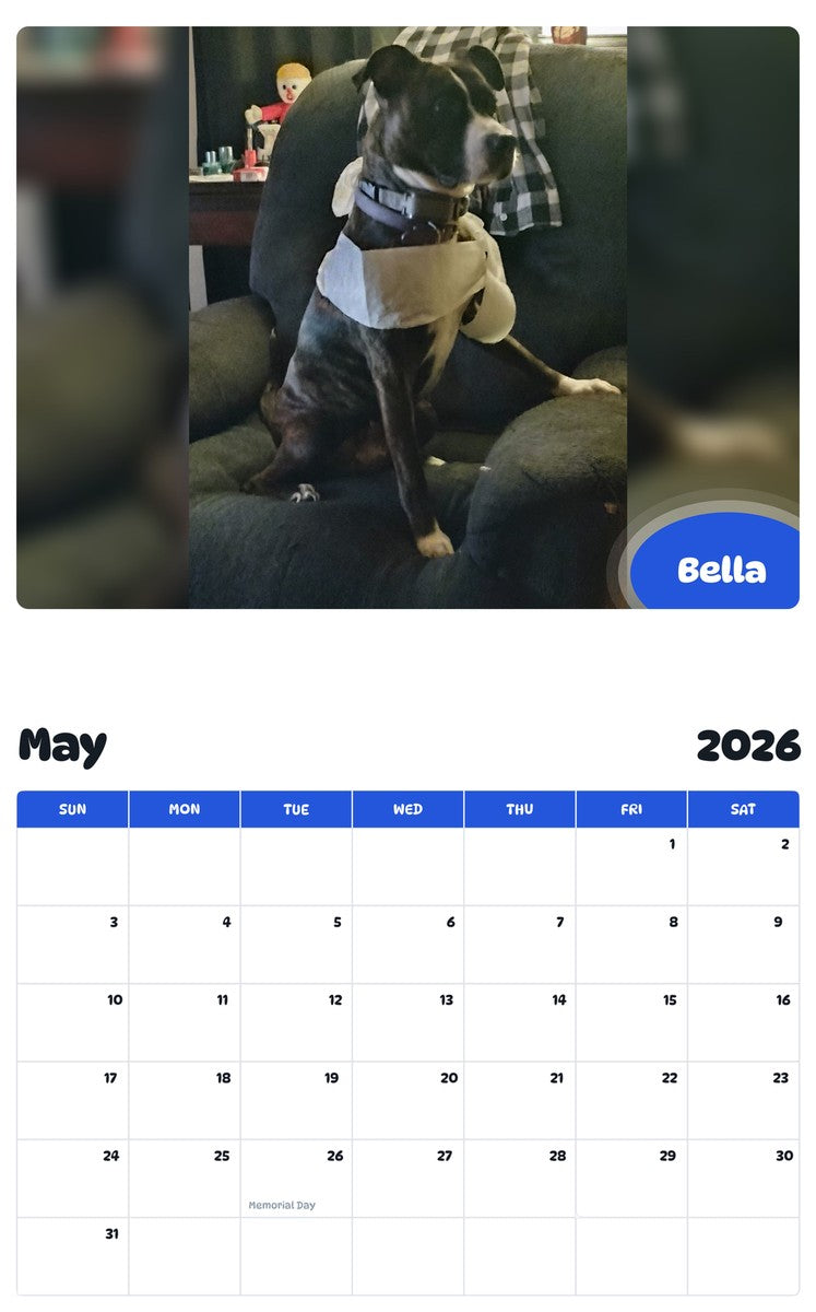 2026 - 2027 Bella - Pawidols Pet Calendar