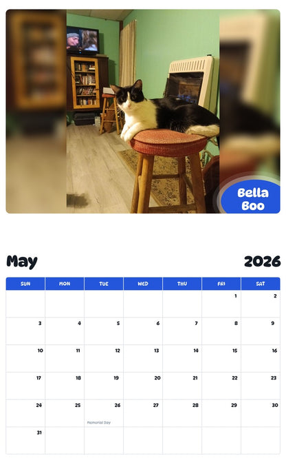 2026 - 2027 Bella Boo - Pawidols Pet Calendar