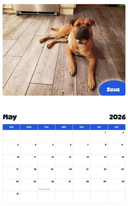 2026 - 2027 Zeus - Pawidols Pet Calendar