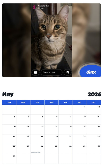2026 - 2027 Jinx - Pawidols Pet Calendar
