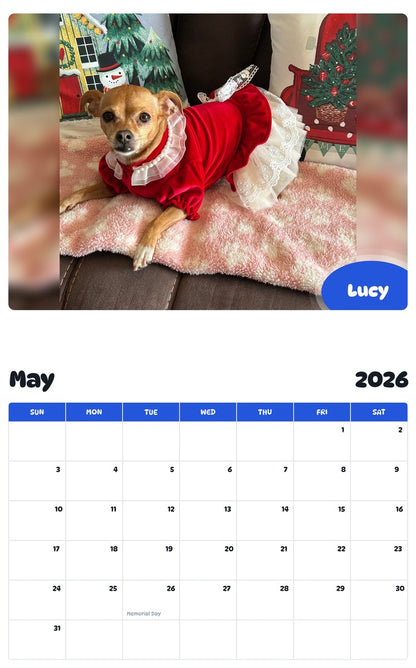 2026 - 2027 Lucy - Pawidols Pet Calendar
