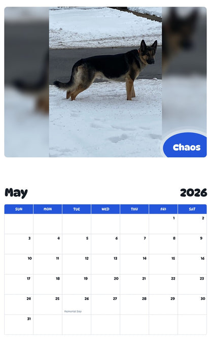 2026 - 2027 Chaos - Pawidols Pet Calendar
