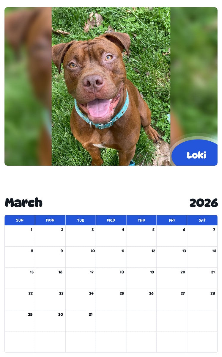 November 2025 - October 2026 Loki - Pawidols Pet Calendar