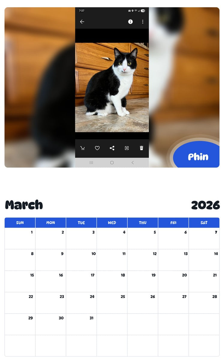 November 2025 - October 2026 Phin - Pawidols Pet Calendar