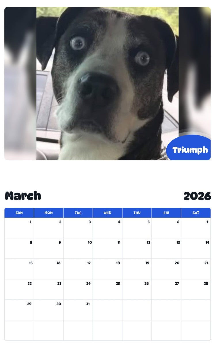 November 2025 - October 2026 Triumph - Pawidols Pet Calendar