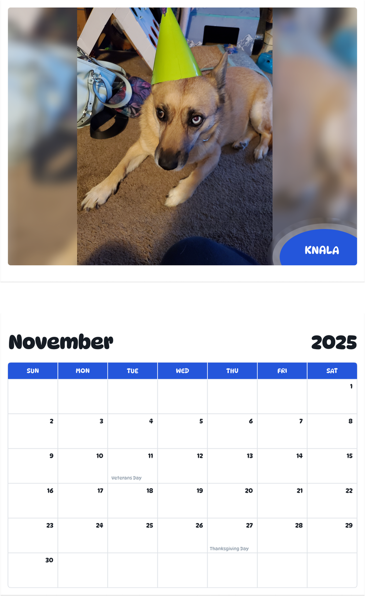 July 2025 - June 2026 Knala - Pawidols Pet Calendar