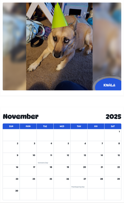July 2025 - June 2026 Knala - Pawidols Pet Calendar