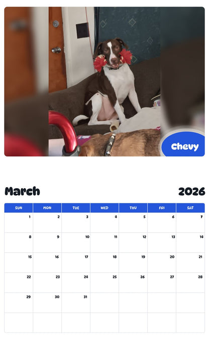 November 2025 - October 2026 Chevy - Pawidols Pet Calendar