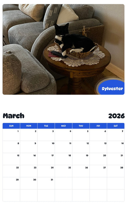 November 2025 - October 2026 Sylvester - Pawidols Pet Calendar