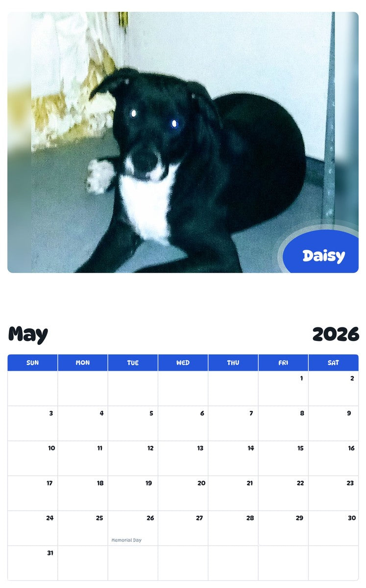 2026 - 2027 Daisy - Pawidols Pet Calendar