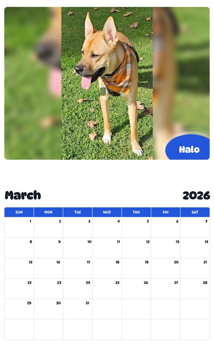 November 2025 - October 2026 Halo - Pawidols Pet Calendar