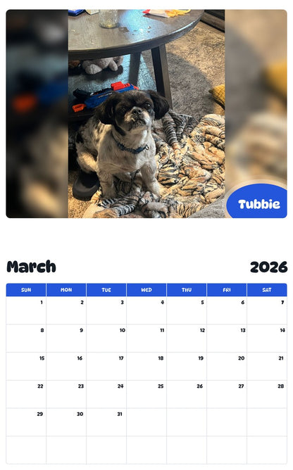 November 2025 - October 2026 Tubbie - Pawidols Pet Calendar