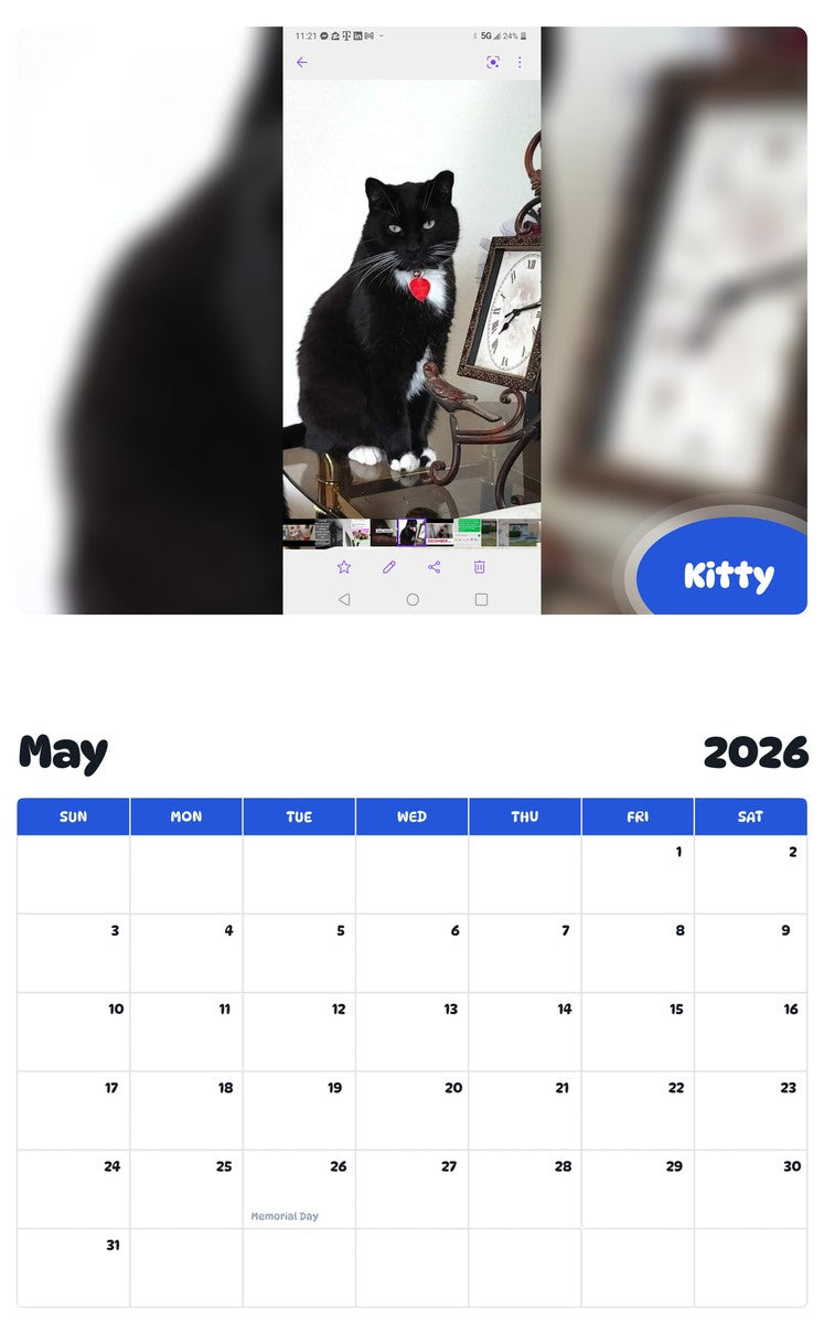 2026 - 2027 Kitty - Pawidols Pet Calendar