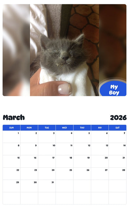 November 2025 - October 2026 My Boy - Pawidols Pet Calendar