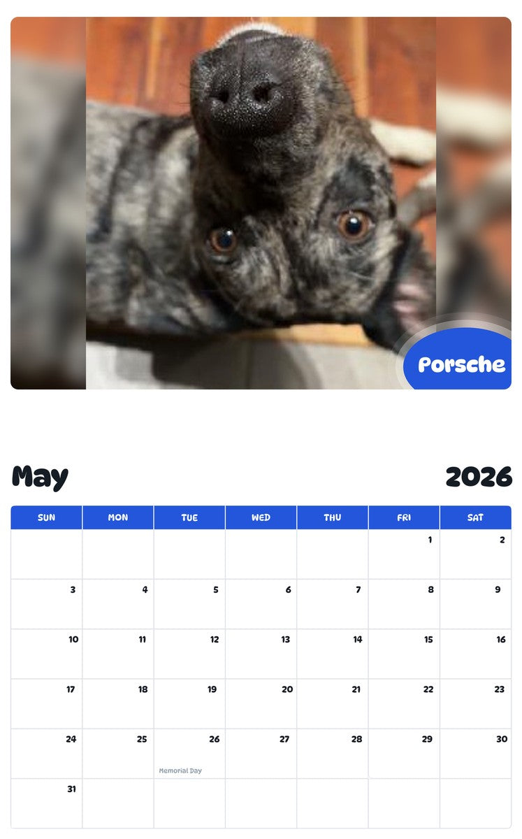 2026 - 2027 Porsche - Pawidols Pet Calendar