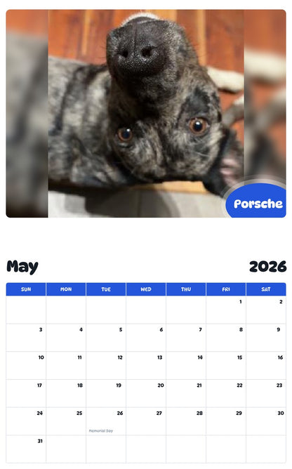2026 - 2027 Porsche - Pawidols Pet Calendar