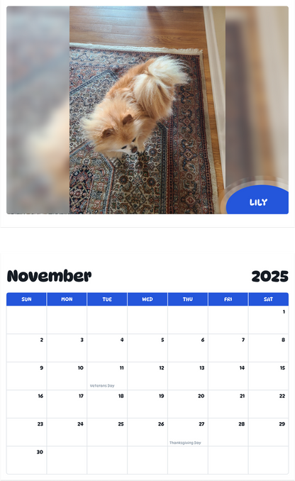 July 2025 - June 2026 LILY - Pawidols Pet Calendar