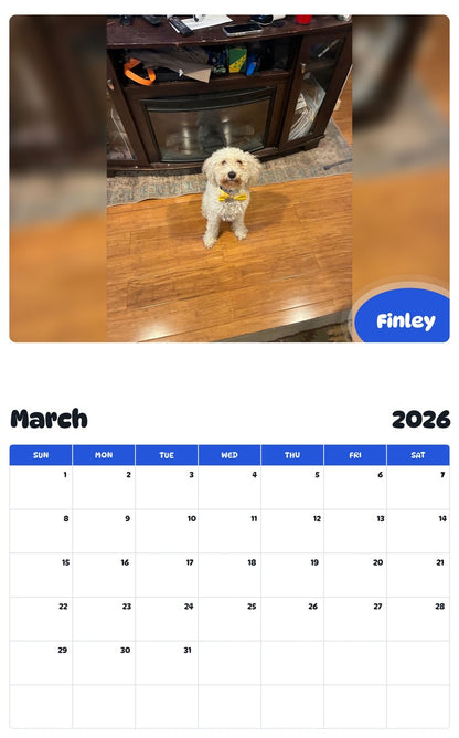 November 2025 - October 2026 Finley - Pawidols Pet Calendar