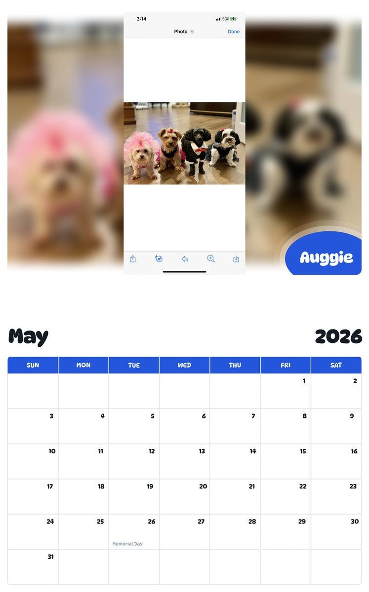 2026 - 2027 Auggie - Pawidols Pet Calendar