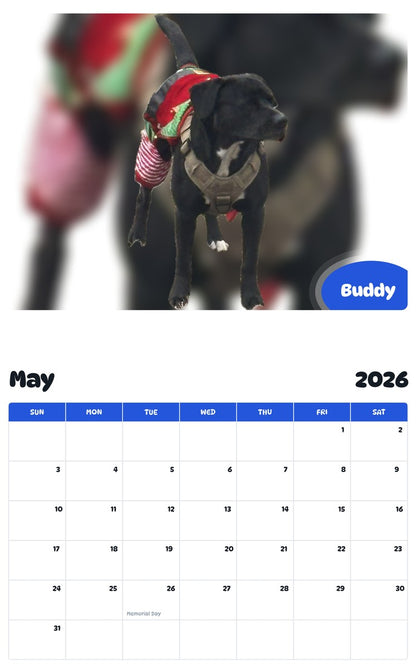 2026 - 2027 Buddy - Pawidols Pet Calendar