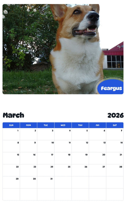 November 2025 - October 2026 Feargus - Pawidols Pet Calendar