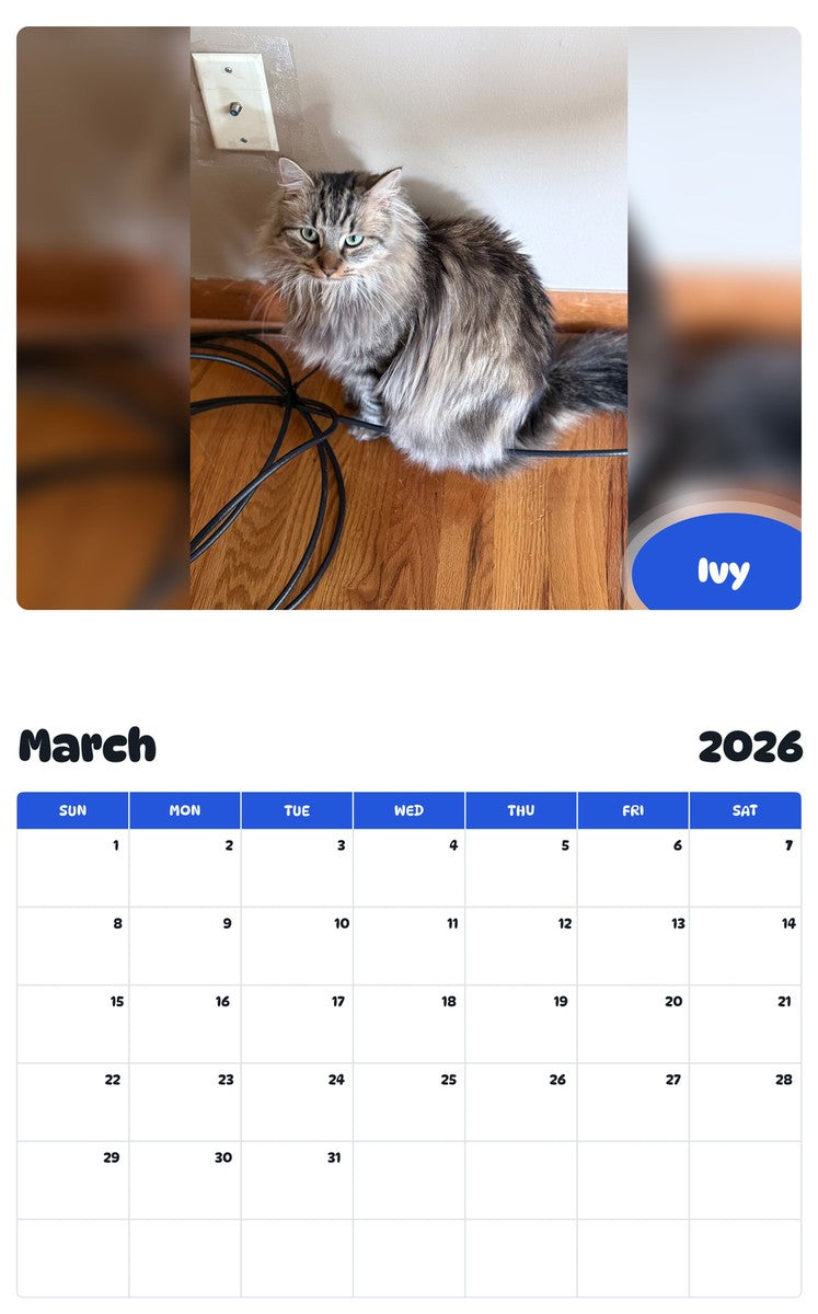 November 2025 - October 2026 Ivy - Pawidols Pet Calendar