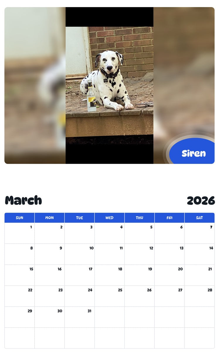 November 2025 - October 2026 Siren - Pawidols Pet Calendar