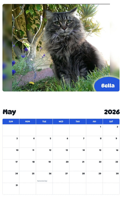2026 - 2027 Bella - Pawidols Pet Calendar