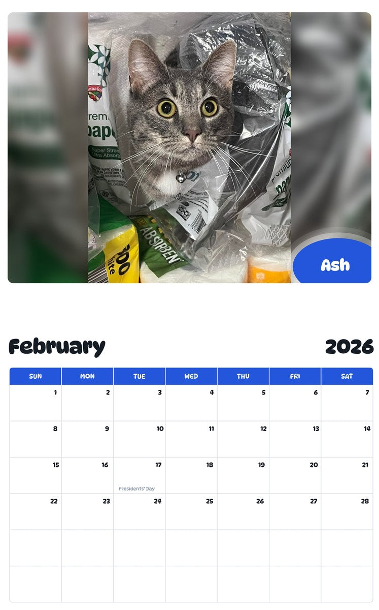 October 2025 - September 2026 Ash - Pawidols Pet Calendar