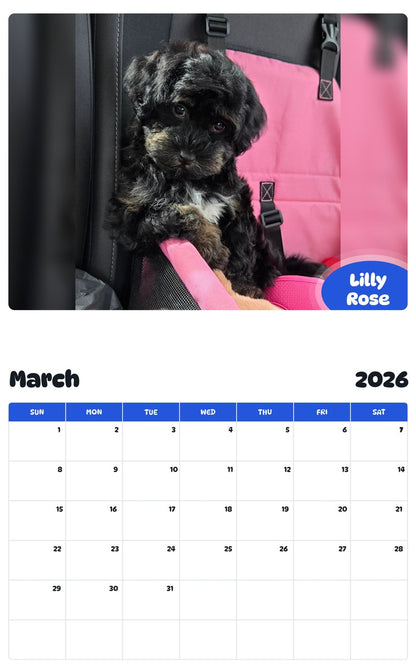 November 2025 - October 2026 Lilly Rose - Pawidols Pet Calendar