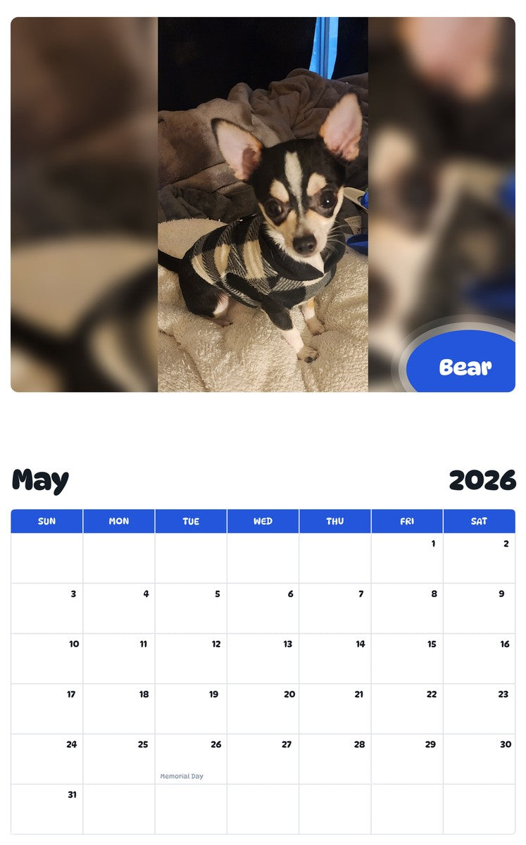 2026 - 2027 Bear - Pawidols Pet Calendar