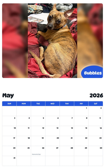 2026 - 2027 Bubbles - Pawidols Pet Calendar