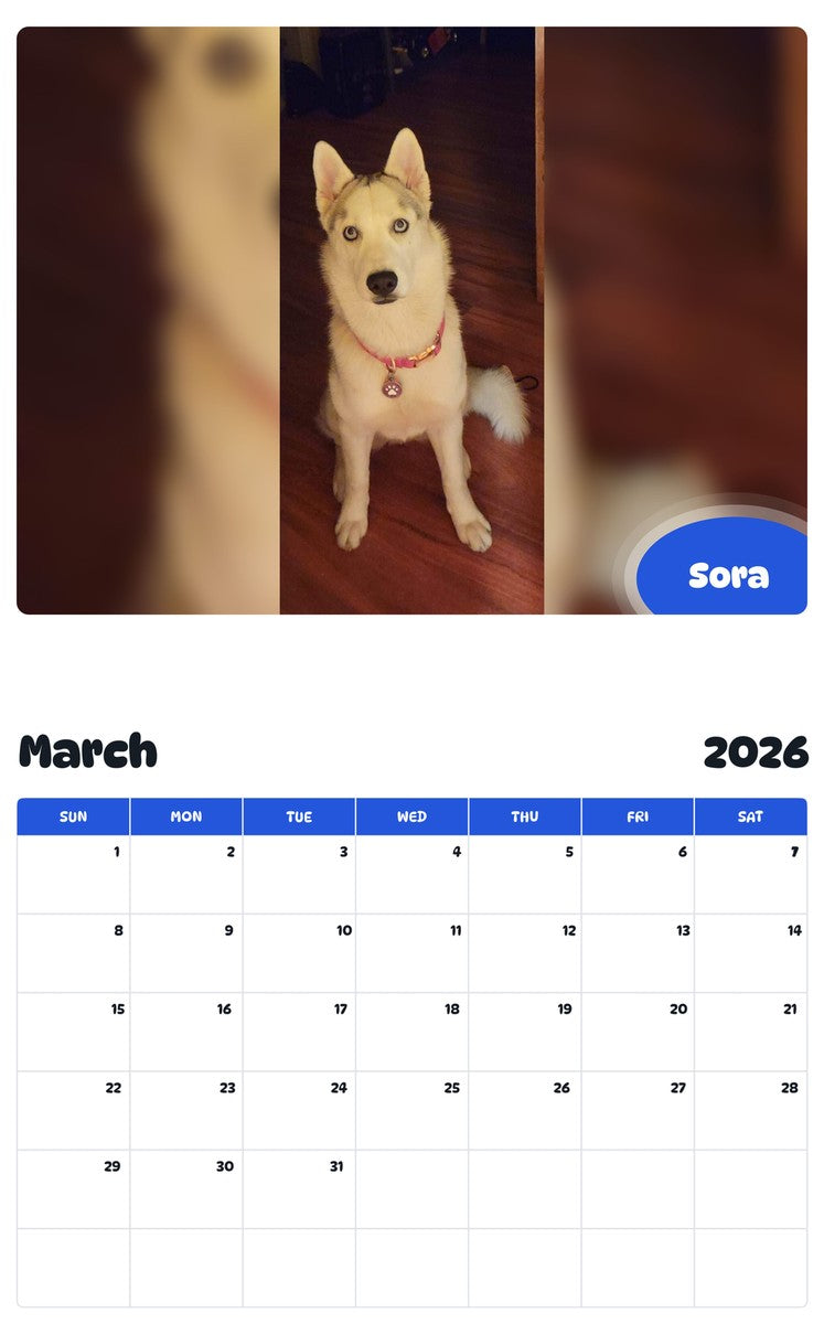 November 2025 - October 2026 Sora - Pawidols Pet Calendar