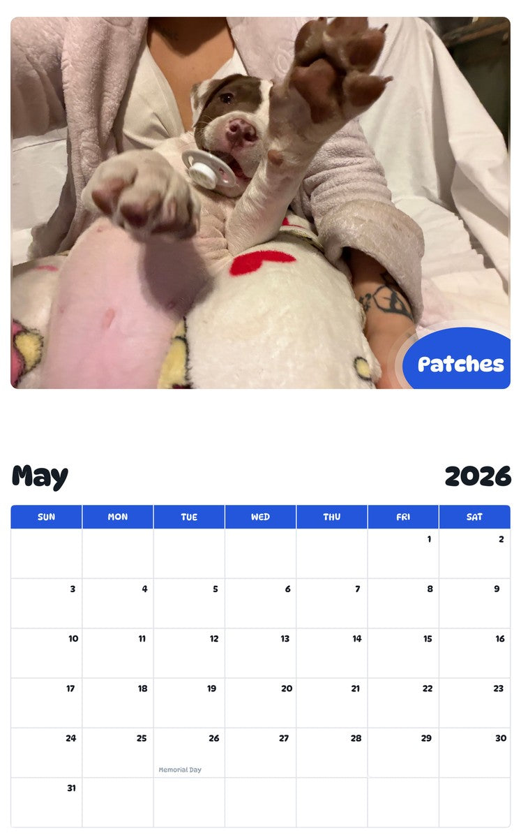 2026 - 2027 Patches - Pawidols Pet Calendar