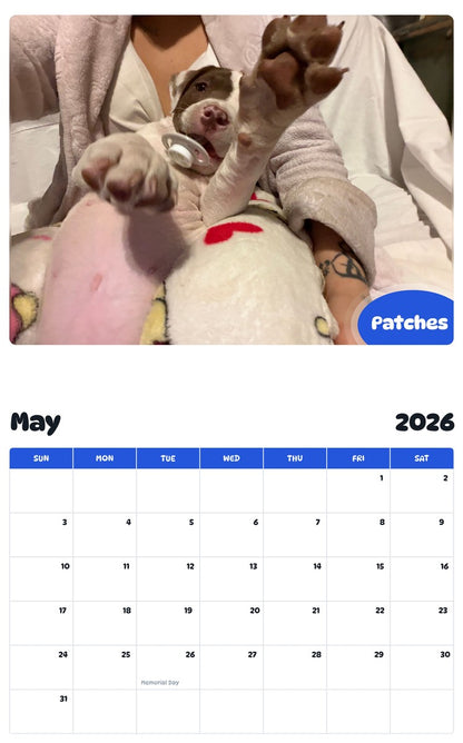 2026 - 2027 Patches - Pawidols Pet Calendar