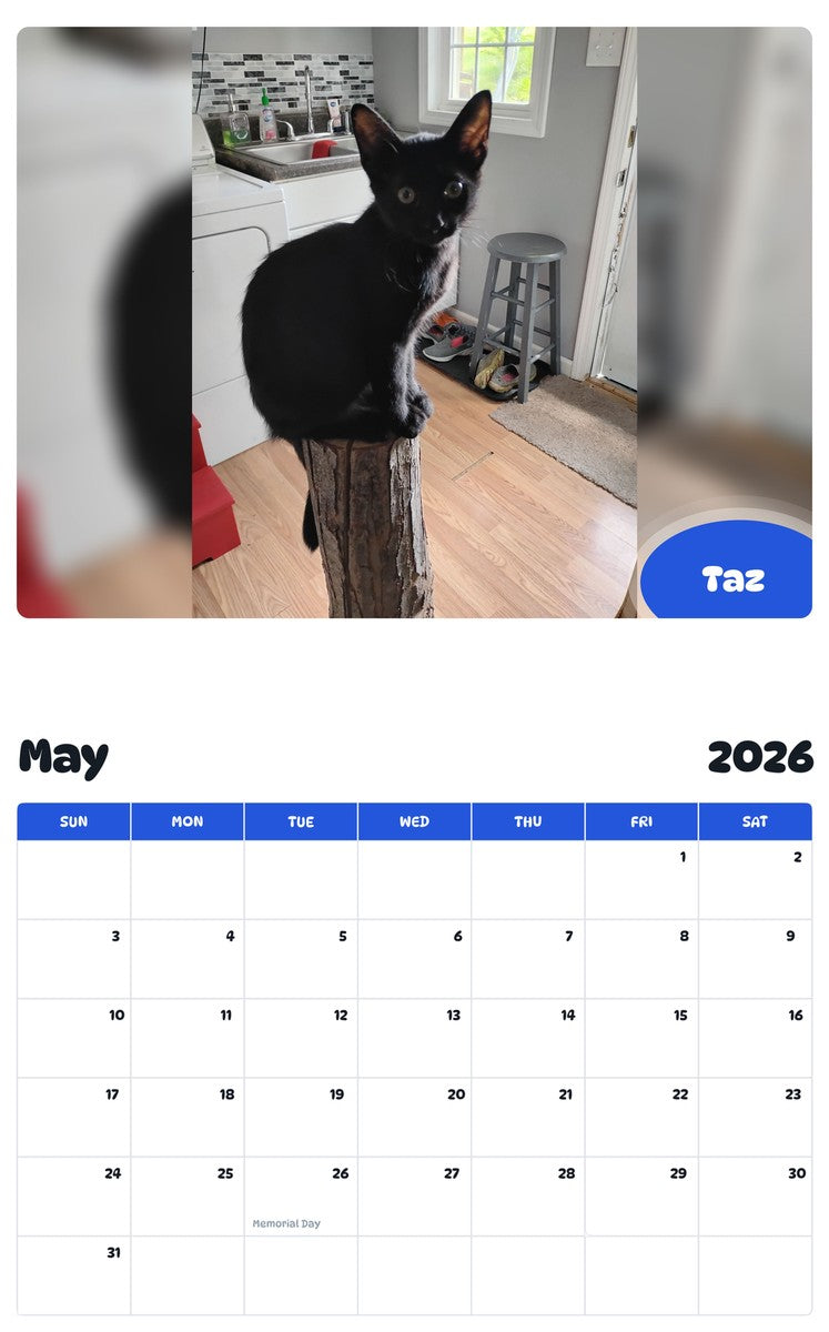 2026 - 2027 Taz - Pawidols Pet Calendar